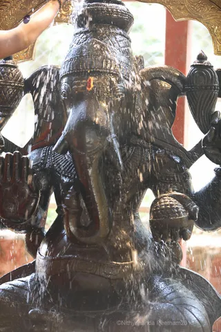 http://nithyananda.org/sites/default/files/photo-gallery/2018-09Sep-13-nithyananda-diary_bengaluru-aadheenam_uttamotama-seva_7T7A4050.JPG