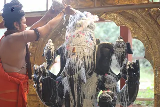 http://nithyananda.org/sites/default/files/photo-gallery/2018-09Sep-13-nithyananda-diary_bengaluru-aadheenam_uttamotama-seva_7T7A4062.JPG