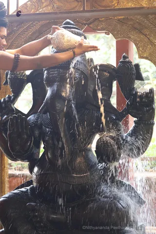 http://nithyananda.org/sites/default/files/photo-gallery/2018-09Sep-13-nithyananda-diary_bengaluru-aadheenam_uttamotama-seva_7T9A0248.JPG