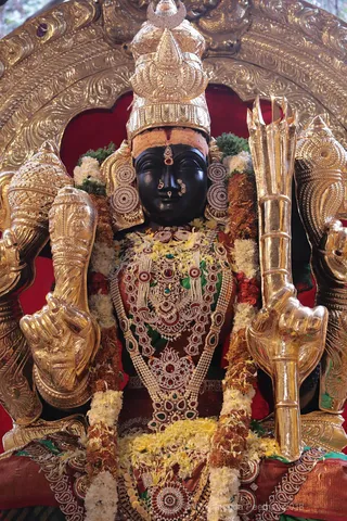 http://nithyananda.org/sites/default/files/photo-gallery/2018-09Sep-14-nithyananda-diary_bengaluru-aadheenam_uttamotama-seva_7T7A4319.JPG