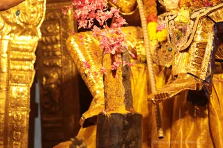 http://nithyananda.org/sites/default/files/photo-gallery/2018-09Sep-16-nithyananda-diary_bengaluru-aadheenam_uttamotama-seva_7T7A4919.JPG