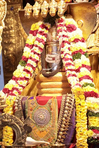 http://nithyananda.org/sites/default/files/photo-gallery/2018-09Sep-17-nithyananda-diary_bengaluru-aadheenam_uttamotama-seva_7T9A5165.JPG