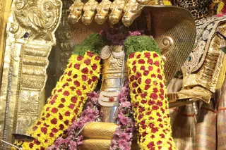 http://nithyananda.org/sites/default/files/photo-gallery/2018-09Sep-18-nithyananda-diary_bengaluru-aadheenam_uttamotama-seva_7T7A5451.JPG