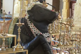 http://nithyananda.org/sites/default/files/photo-gallery/2018-09Sep-18-nithyananda-diary_bengaluru-aadheenam_uttamotama-seva_7T7A5467.JPG