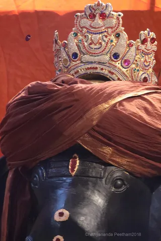 http://nithyananda.org/sites/default/files/photo-gallery/2018-09Sep-19-nithyananda-diary_bengaluru-aadheenam_uttamotama-seva_7T7A5628.JPG