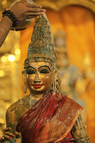 http://nithyananda.org/sites/default/files/photo-gallery/2018-09Sep-23-nithyananda-diary_bengaluru-aadheenam_uttamotama-seva_7T7A6536.JPG
