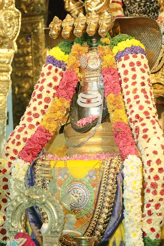 http://nithyananda.org/sites/default/files/photo-gallery/2018-09Sep-23-nithyananda-diary_bengaluru-aadheenam_uttamotama-seva_7T7A6624.JPG