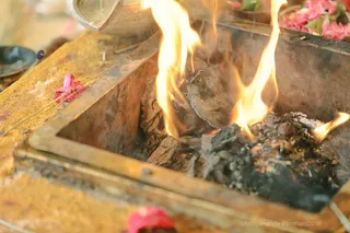 http://nithyananda.org/sites/default/files/photo-gallery/2018-09Sep-23-nithyananda-diary_bengaluru-aadheenam_uttamotama-seva_7T7A6635.JPG
