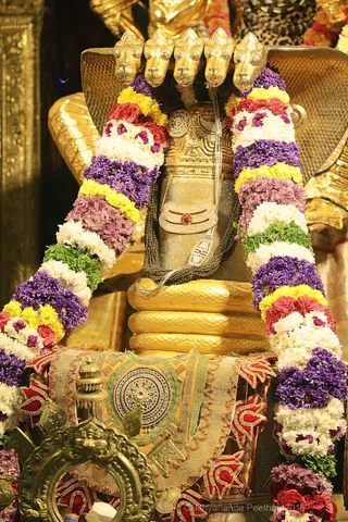 http://nithyananda.org/sites/default/files/photo-gallery/2018-09Sep-24-nithyananda-diary_bengaluru-aadheenam_uttamotama-seva_7T9A6858.JPG