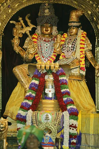 http://nithyananda.org/sites/default/files/photo-gallery/2018-09Sep-25-nithyananda-diary_bengaluru-aadheenam_uttamotama-seva_7T9A7084.JPG