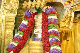 http://nithyananda.org/sites/default/files/photo-gallery/2018-09Sep-25-nithyananda-diary_bengaluru-aadheenam_uttamotama-seva_7T9A7094.JPG