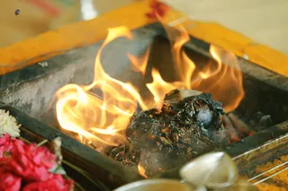 http://nithyananda.org/sites/default/files/photo-gallery/2018-09Sep-26-nithyananda-diary_bengaluru-aadheenam_uttamotama-seva_7T9A7210.JPG