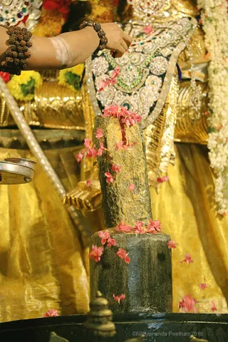 http://nithyananda.org/sites/default/files/photo-gallery/2018-10Oct-01-nithyananda-diary_bengaluru-aadheenam_uttamotama-seva_7T9A8563.JPG