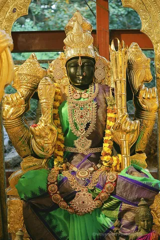 http://nithyananda.org/sites/default/files/photo-gallery/2018-10Oct-02-nithyananda-diary_bengaluru-aadheenam_uttamotama-seva_7T9A8889.JPG