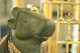 http://nithyananda.org/sites/default/files/photo-gallery/2018-10Oct-03-nithyananda-diary_bengaluru-aadheenam_uttamotama-seva_7T9A9093.JPG