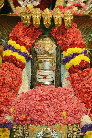 http://nithyananda.org/sites/default/files/photo-gallery/2018-10Oct-03-nithyananda-diary_bengaluru-aadheenam_uttamotama-seva_7T9A9262.JPG