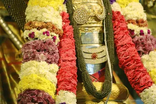 http://nithyananda.org/sites/default/files/photo-gallery/2018-10Oct-04-nithyananda-diary_bengaluru-aadheenam_uttamotama-seva_7T9A9562.JPG