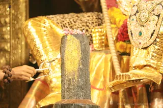 http://nithyananda.org/sites/default/files/photo-gallery/2018-10Oct-06-nithyananda-diary_bengaluru-aadheenam_uttamotama-seva_7T9A8884.JPG
