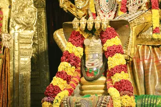 http://nithyananda.org/sites/default/files/photo-gallery/2018-10Oct-09-nithyananda-diary_bengaluru-aadheenam_uttamotama-seva_7T9A0212.JPG