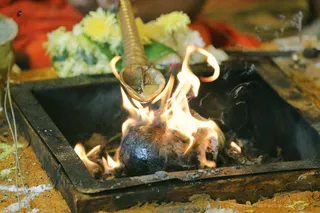 http://nithyananda.org/sites/default/files/photo-gallery/2018-10Oct-12-nithyananda-diary_bengaluru-aadheenam_uttamotama-seva_7T9A2065.JPG