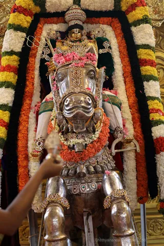 http://nithyananda.org/sites/default/files/photo-gallery/2018-10Oct-17-nithyananda-diary_bengaluru-aadheenam_uttamotama-seva_7T7A2061.JPG
