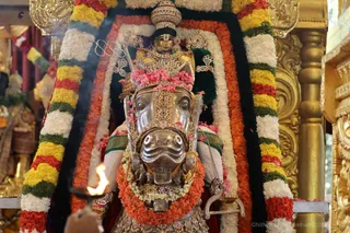 http://nithyananda.org/sites/default/files/photo-gallery/2018-10Oct-17-nithyananda-diary_bengaluru-aadheenam_uttamotama-seva_7T7A2065.JPG