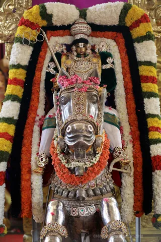 http://nithyananda.org/sites/default/files/photo-gallery/2018-10Oct-17-nithyananda-diary_bengaluru-aadheenam_uttamotama-seva_7T7A2210.JPG