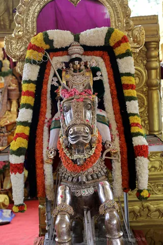 http://nithyananda.org/sites/default/files/photo-gallery/2018-10Oct-17-nithyananda-diary_bengaluru-aadheenam_uttamotama-seva_7T9A1944.JPG
