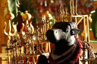 http://nithyananda.org/sites/default/files/photo-gallery/2018-10Oct-20-nithyananda-diary_bengaluru-aadheenam_uttamotama-seva_7T7A3600.JPG