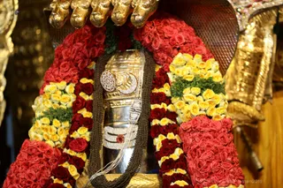 http://nithyananda.org/sites/default/files/photo-gallery/2018-10Oct-21-nithyananda-diary_bengaluru-aadheenam_uttamotama-seva_7T7A3732.JPG