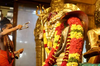 http://nithyananda.org/sites/default/files/photo-gallery/2018-10Oct-21-nithyananda-diary_bengaluru-aadheenam_uttamotama-seva_7T7A3737.JPG