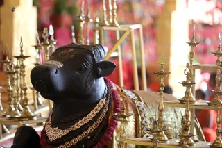 http://nithyananda.org/sites/default/files/photo-gallery/2018-10Oct-21-nithyananda-diary_bengaluru-aadheenam_uttamotama-seva_7T7A3821.JPG
