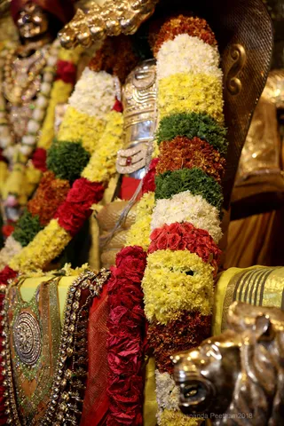 http://nithyananda.org/sites/default/files/photo-gallery/2018-10Oct-22-nithyananda-diary_bengaluru-aadheenam_uttamotama-seva_7T7A5499.JPG
