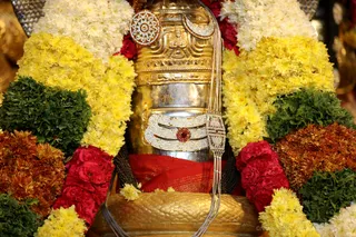 http://nithyananda.org/sites/default/files/photo-gallery/2018-10Oct-22-nithyananda-diary_bengaluru-aadheenam_uttamotama-seva_7T7A5506.JPG