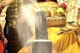 http://nithyananda.org/sites/default/files/photo-gallery/2018-10Oct-25-nithyananda-diary_bengaluru-aadheenam_uttamotama-seva_7T7A5550.JPG
