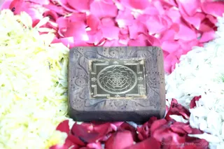 http://nithyananda.org/sites/default/files/photo-gallery/2018-11Nov-01-nithyananda-diary_bengaluru-aadheenam_uttamotama-seva_7T7A9949.JPG