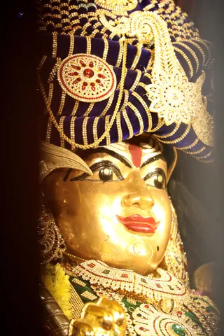 http://nithyananda.org/sites/default/files/photo-gallery/2018-11Nov-05-nithyananda-diary_bengaluru-aadheenam_uttamotama-seva_7T9A0118.JPG