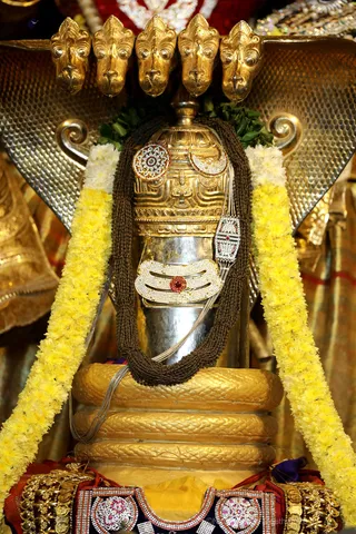 http://nithyananda.org/sites/default/files/photo-gallery/2018-11Nov-07-nithyananda-diary_bengaluru-aadheenam_uttamotama-seva_7T9A9971_0.JPG