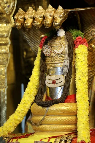 http://nithyananda.org/sites/default/files/photo-gallery/2018-11Nov-09-nithyananda-diary_bengaluru-aadheenam_uttamotama-seva_7T9A0316.JPG