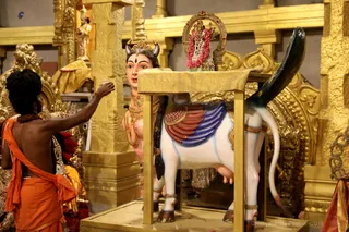 http://nithyananda.org/sites/default/files/photo-gallery/2018-11Nov-11-nithyananda-diary_bengaluru-aadheenam_uttamotama-seva_7T9A0772.JPG