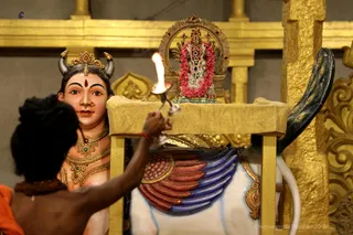 http://nithyananda.org/sites/default/files/photo-gallery/2018-11Nov-11-nithyananda-diary_bengaluru-aadheenam_uttamotama-seva_7T9A0776.JPG