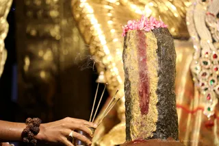 http://nithyananda.org/sites/default/files/photo-gallery/2018-11Nov-12-nithyananda-diary_bengaluru-aadheenam_uttamotama-seva_7T9A0805.JPG