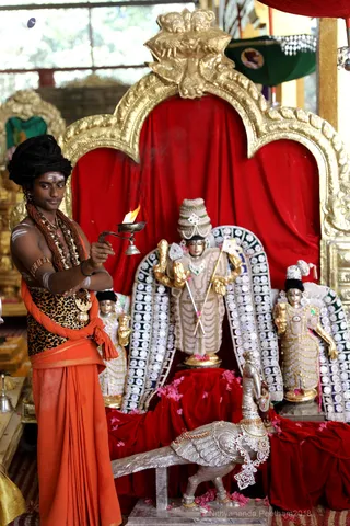 http://nithyananda.org/sites/default/files/photo-gallery/2018-11Nov-13-nithyananda-diary_bengaluru-aadheenam_uttamotama-seva_7T9A0979.JPG