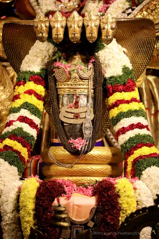 http://nithyananda.org/sites/default/files/photo-gallery/2018-11Nov-14-nithyananda-diary_bengaluru-aadheenam_uttamotama-seva_7T9A1140.JPG