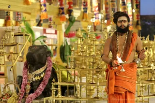 http://nithyananda.org/sites/default/files/photo-gallery/2018-11Nov-14-nithyananda-diary_bengaluru-aadheenam_uttamotama-seva_7T9A1141.JPG