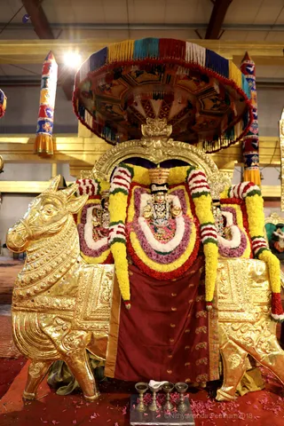 http://nithyananda.org/sites/default/files/photo-gallery/2018-11Nov-14-nithyananda-diary_bengaluru-aadheenam_uttamotama-seva_7T9A1156.JPG