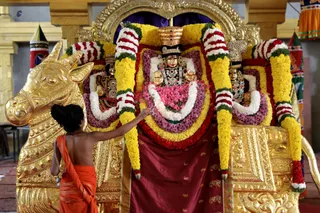 http://nithyananda.org/sites/default/files/photo-gallery/2018-11Nov-14-nithyananda-diary_bengaluru-aadheenam_uttamotama-seva_7T9A1264.JPG