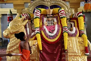 http://nithyananda.org/sites/default/files/photo-gallery/2018-11Nov-14-nithyananda-diary_bengaluru-aadheenam_uttamotama-seva_7T9A1269.JPG