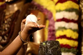 http://nithyananda.org/sites/default/files/photo-gallery/2018-11Nov-16-nithyananda-diary_bengaluru-aadheenam_uttamotama-seva_7T7A1122_0.JPG
