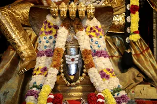 http://nithyananda.org/sites/default/files/photo-gallery/2018-11Nov-18-nithyananda-diary_bengaluru-aadheenam_uttamotama-seva_7T7A1676.JPG